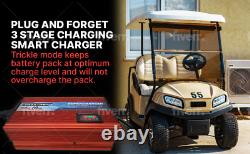 EZGO 10 AMP RXV & TXT Golf Cart Battery Charger LED DISPLAY 48V Open Box