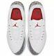 Jordan ADG Golf Shoes Size 11 New in Box Jumpman White Gray Nike Air