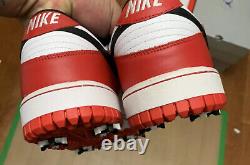 New Nike Dunk Low NG Golf Cleat Chicago Bulls (484294-106) Men Sz 10.5, No Box