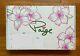 SWAG Golf x Paige Spiranac Augustan Beauty Box NEW SEALED Cover, Towel & Fitting