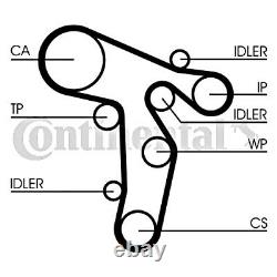 Timing Belt + Pulley KIT CONTITECH Fits VW AUDI SKODA 1.2-2L V10 V6 V8 L4